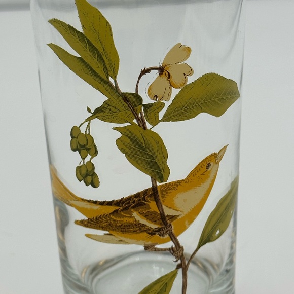 Set of 4 Vintage West Virginia Glass AMERICAN SONGBIRDS Flat Tumblers Glasses - Picture 10 of 16